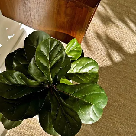 Mara's Higueron West - Nordic Style - Sunny Terrace *