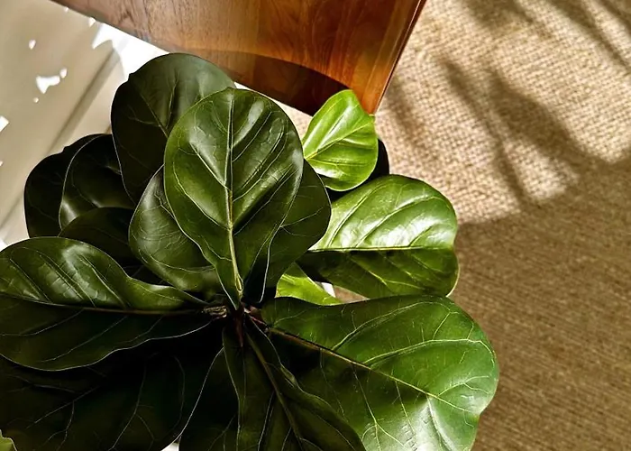 Mara's Higueron West - Nordic Style - Sunny Terrace *